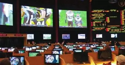 تاثیر تکنولوژی و نوآوری بر قمار ورزشی در سال 2023